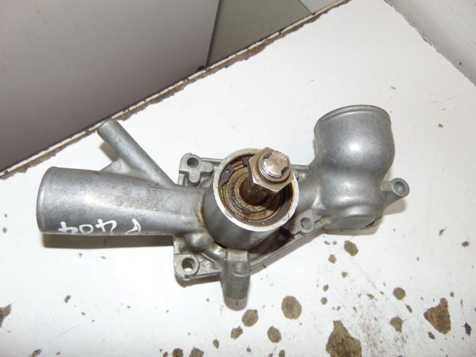 Peugeot 404/504/505 bomba de água