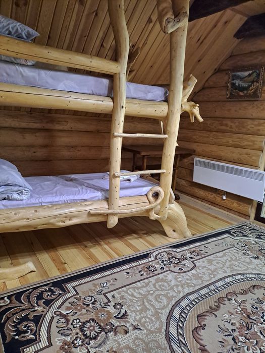 Будинок з чаном Синевир "Синевирська Косиця"