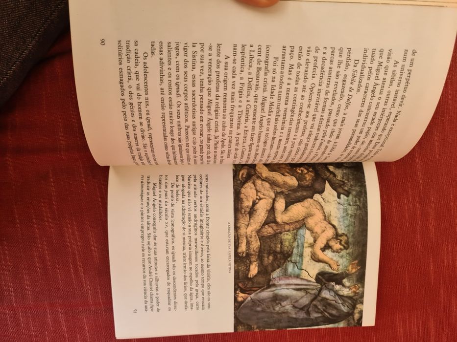 Livro Miguel Ângelo