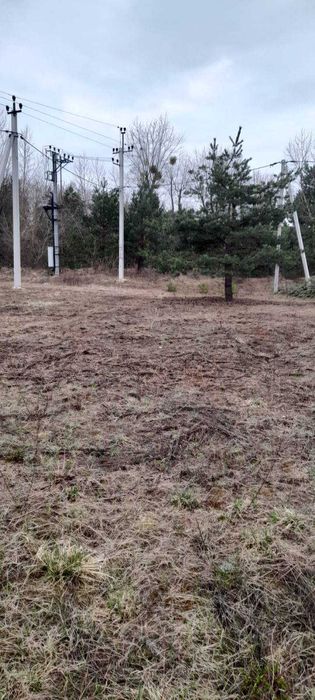 Дмитрівка , 48 соток для садівництва,  зі світлом.