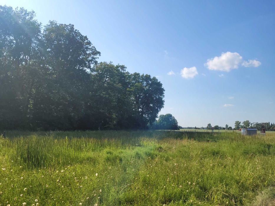 Działka nad jeziorem, Długie, gm. Izbica Kuj. nr działki 277, 998m2