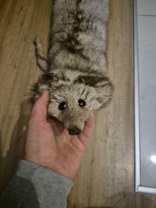 Szal z lisa prawdziwy