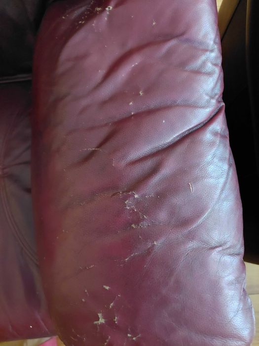 Sofa/kanapa skórzana + 2 fotele