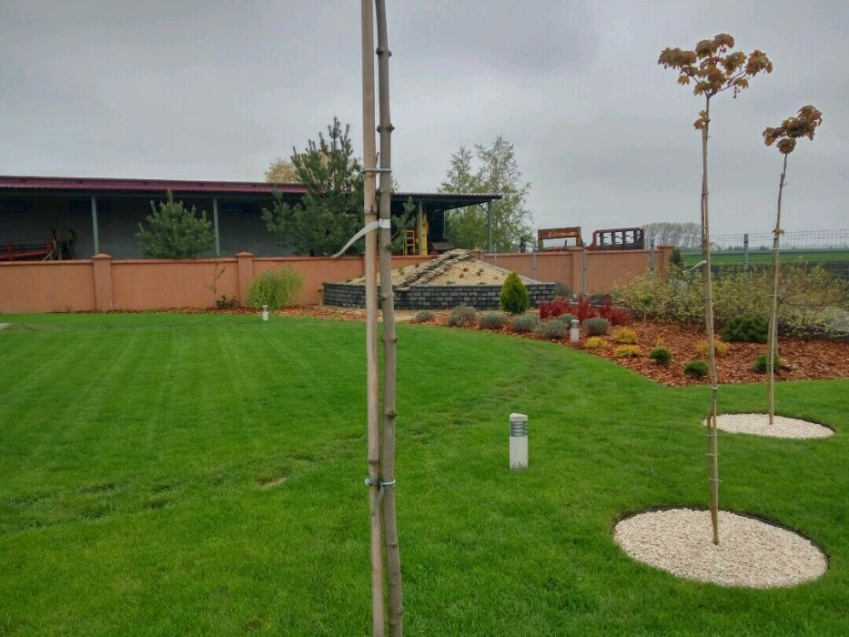 Projektowanie ogrodów, budowa ogrodów – kompleksowo