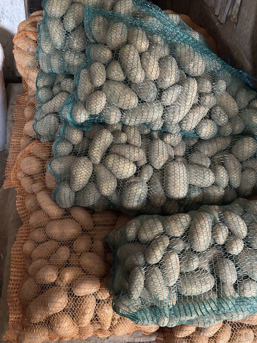 Ziemniaki Queen Anne