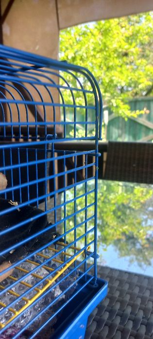 Клітка для гризунів(щури, хом'як, миші)