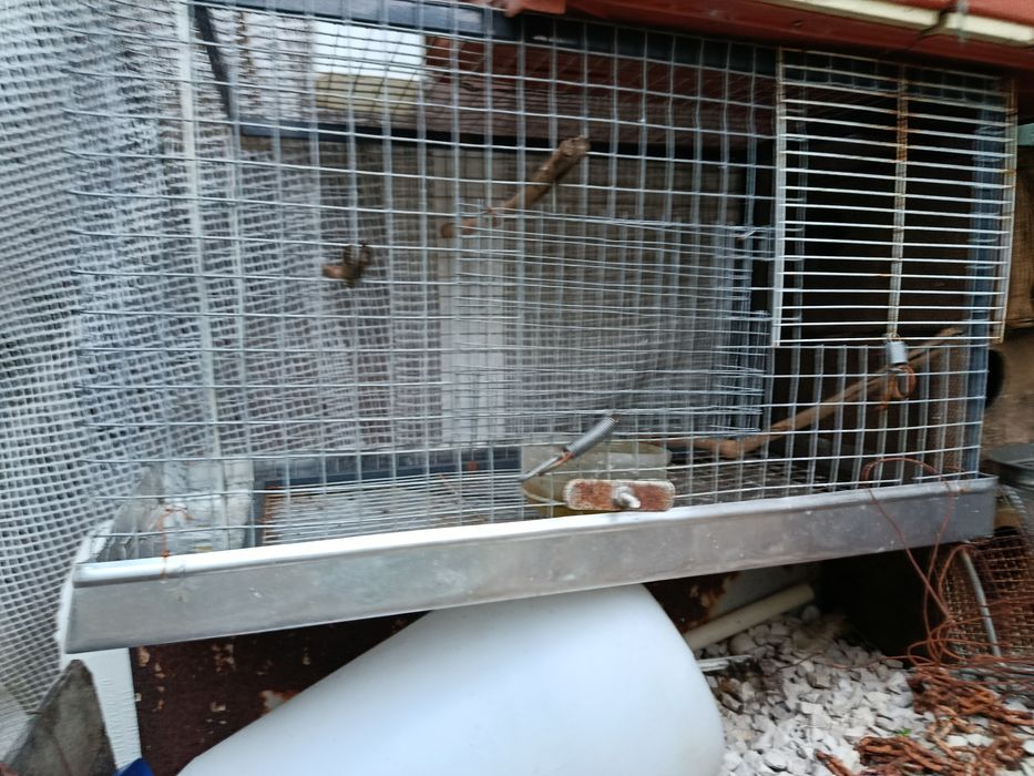 Gaiolas usadas várias