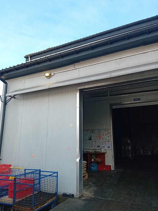 do wynajęcia chłodnia z mroźnią