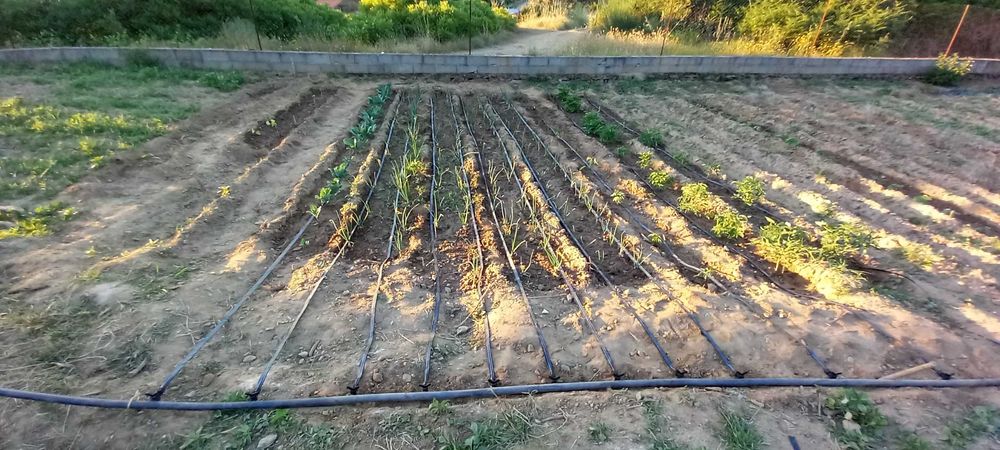 concerto aparelhos elétricos   desentupir limpar dirigir carros trator