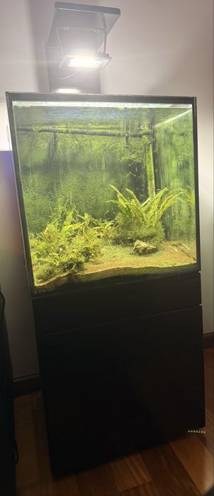 Aquario completo 100l