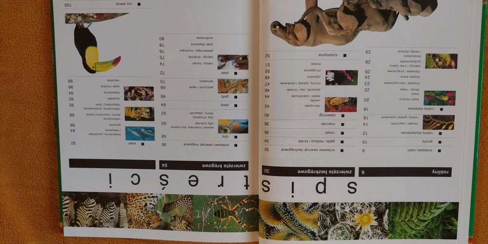 Encyklopedia Rośliny i zwierzęta larousse