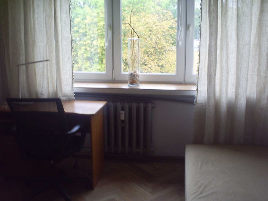 Zdjęcie 5