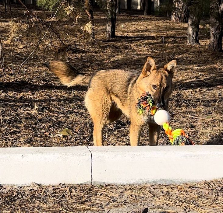 Чудовий хлопчик шукає сім'ю