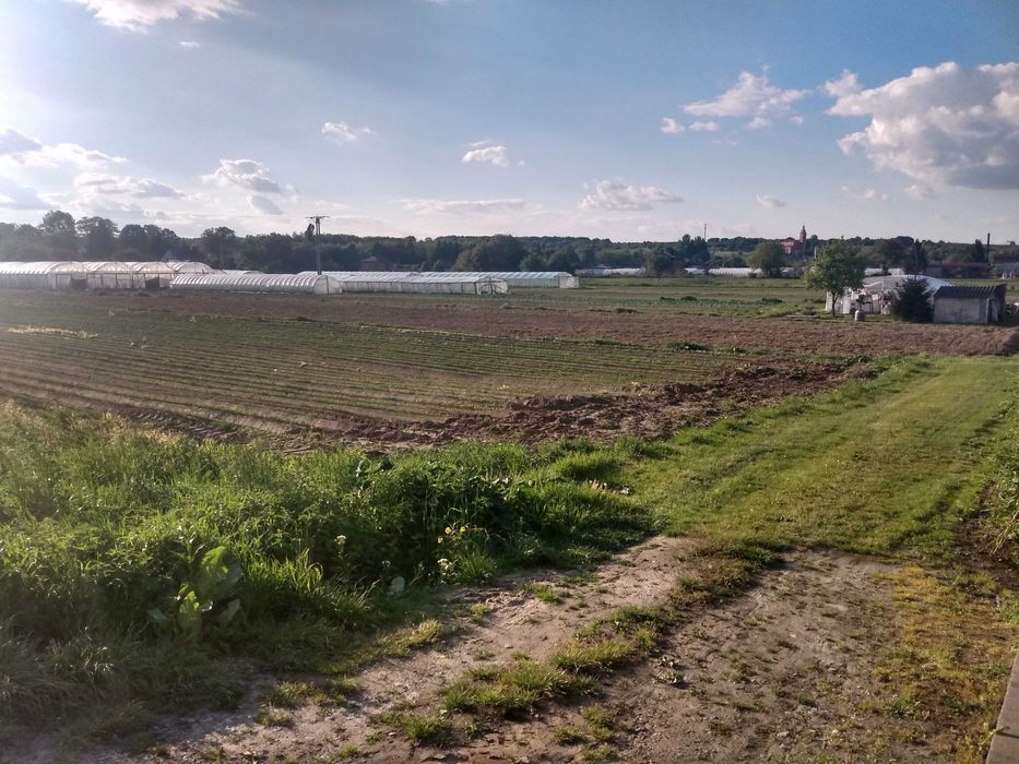 Syndyk sprzeda grunt rolny
