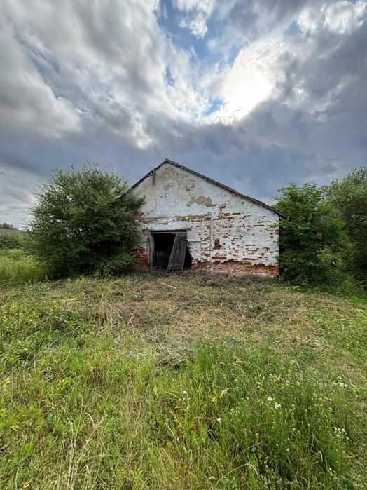 Продаж ферми у с. Никловичі, Самбірський район, Львів