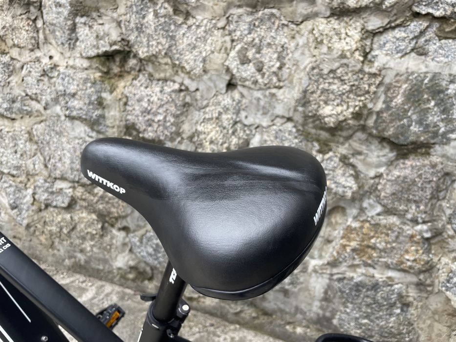 Електровелосипед KTM Macina Sport