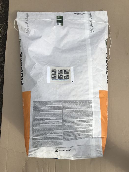 Кукурудза. Насіння