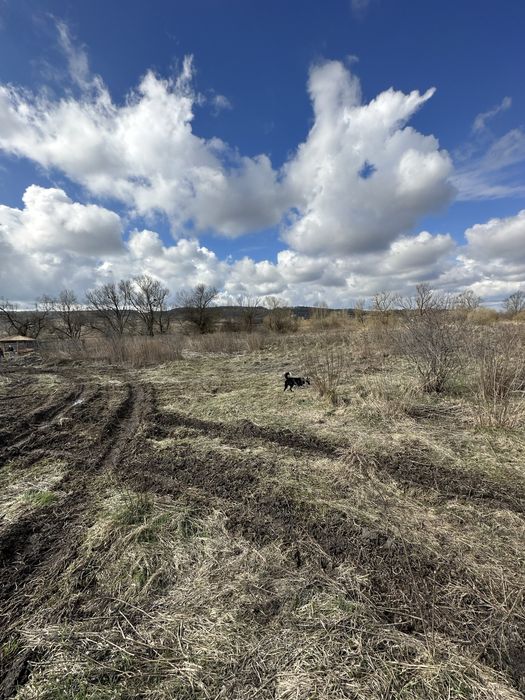 Продам земельну ділянку 2 гектар приватизована
