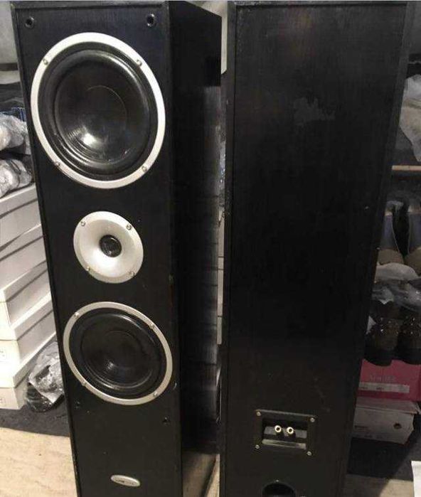 пара акустичних систем