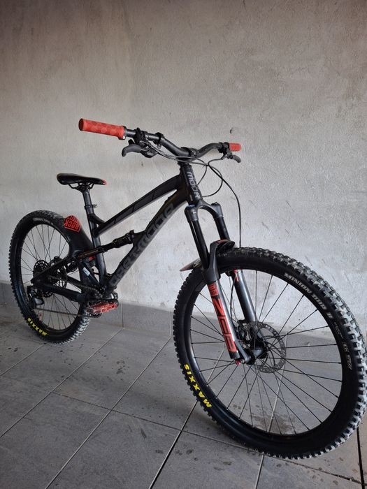 Rower Dartmoor blackbird