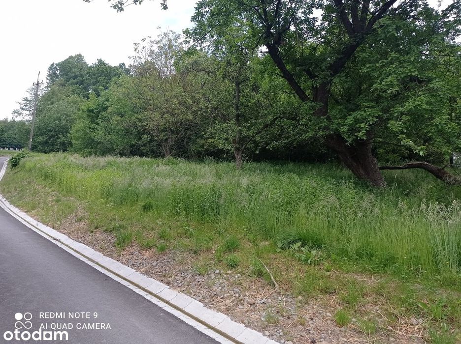 Działka nr 201 – 67 arów  • Tarnawka 239 , powiat Łańcut - Widok 5