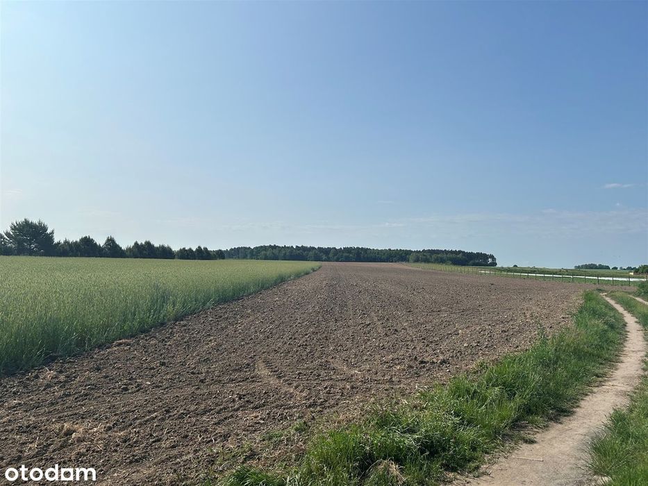 Działka budowlana w urokliwym miejscu przy lesie - Widok 4
