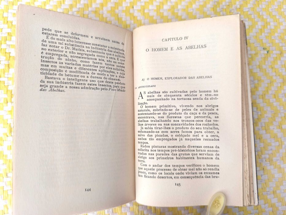 UM POVO MIÚDO - As abelhas – Eduardo Sousa D'Almeida