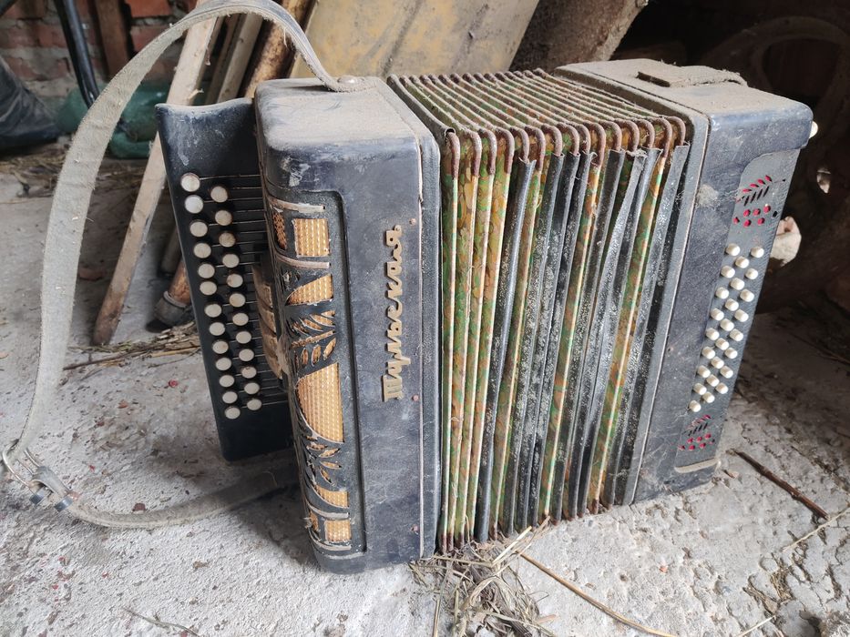 Гармошка баян Тульская