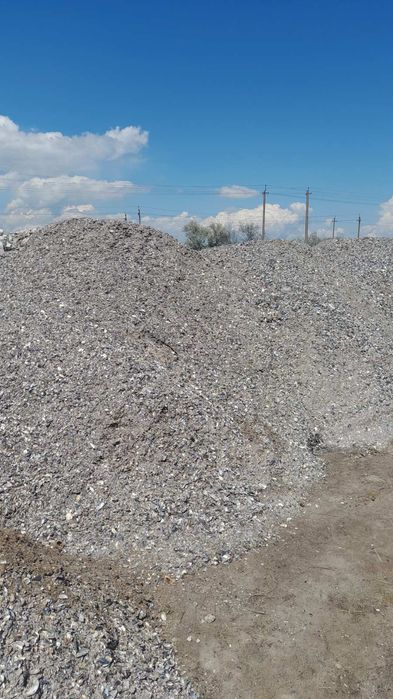 Ракушка кормова(тільки опт)