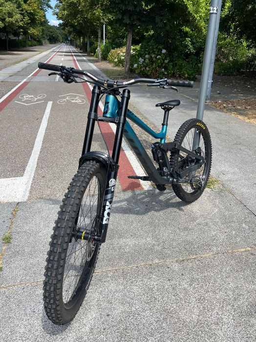 Scott gambler 910 de 2024 DH