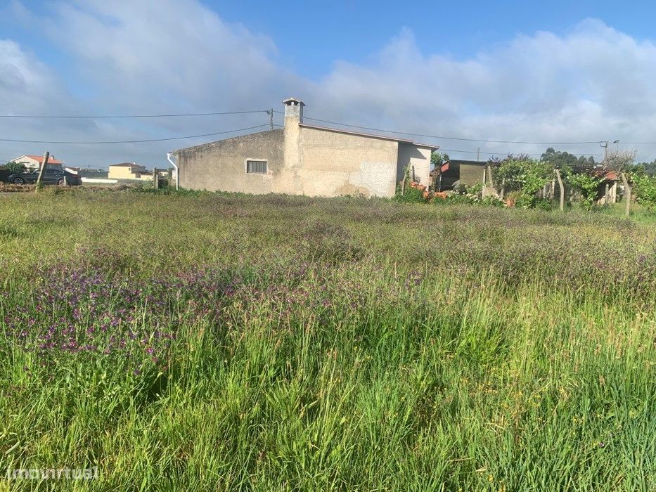 Terreno para construção em Estarreja