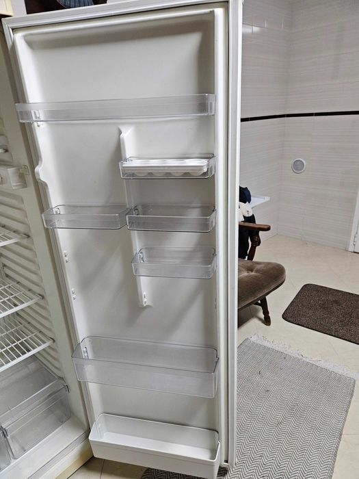 Frigorifico (Entroncamento)