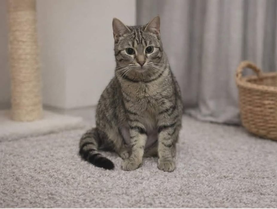 Marzenka – delikatna dusza, która potrzebuje czasu i miłości