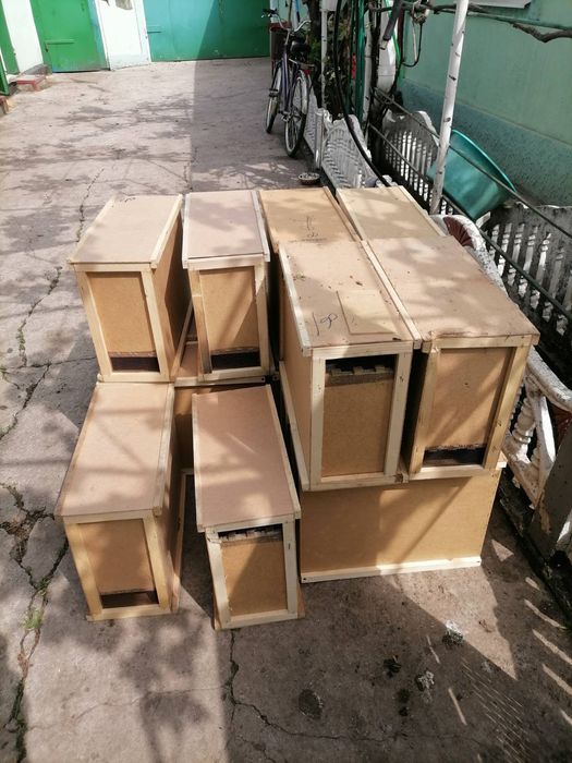 Бджолопакети Вучківський тип