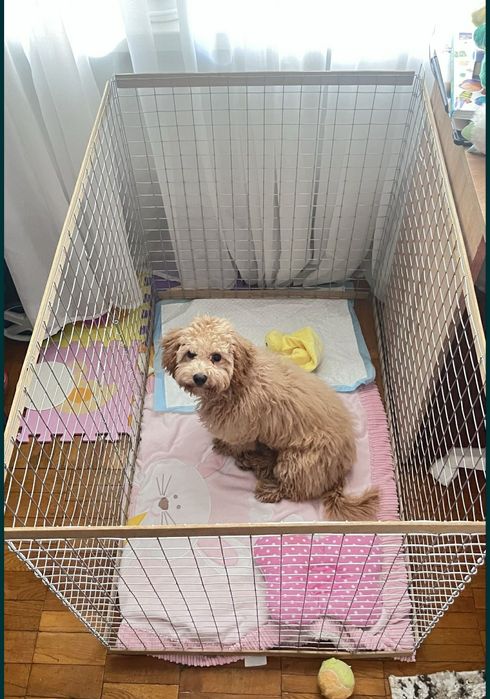 Манеж, Вольер, Клетка для собак, щенков, кроликов, котят, кошек