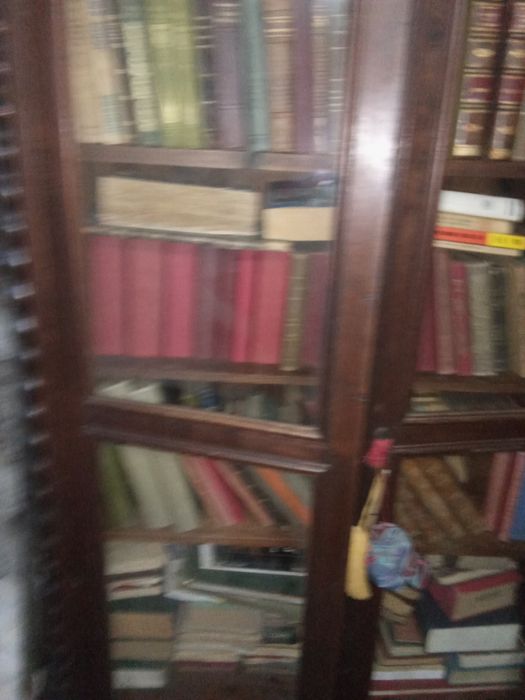 Biblioteca de livros antigos em ótimo estado