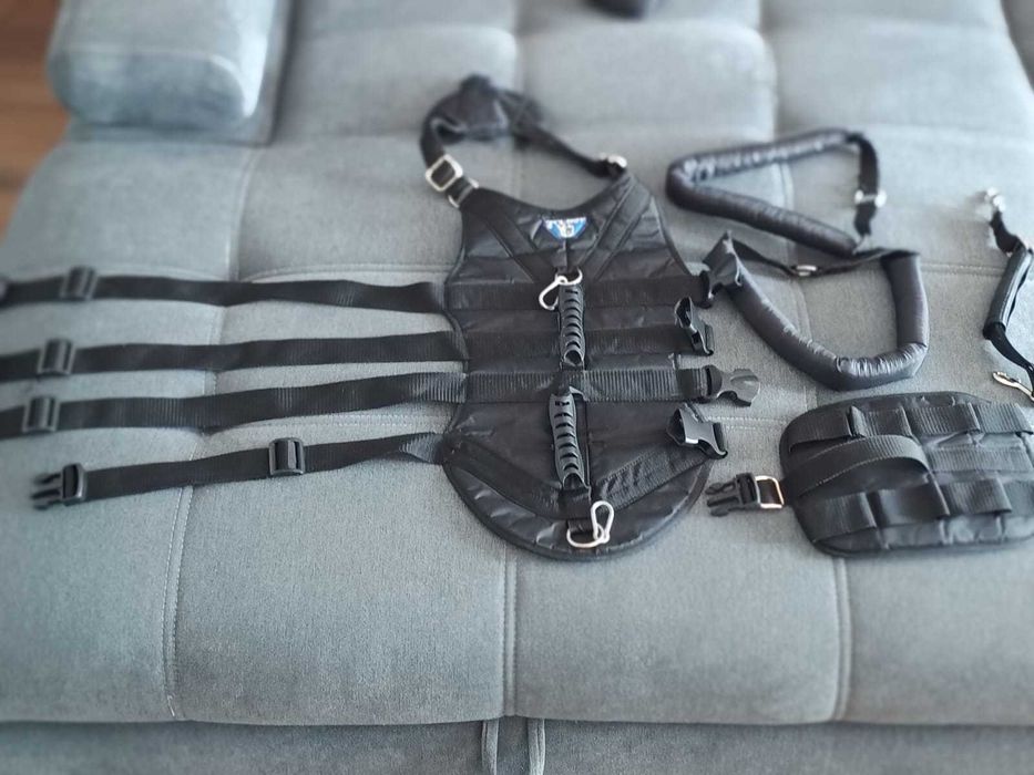 Szelki ortopedyczne dla psa Admiral