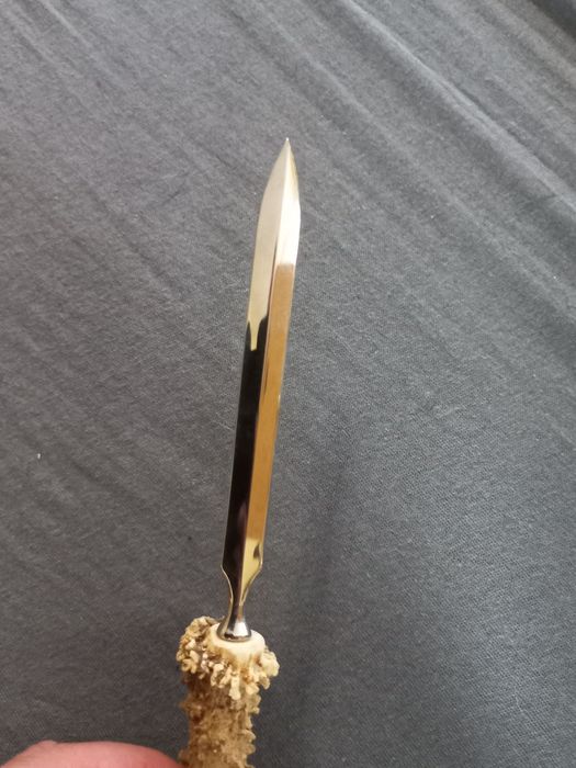 Nóż (nożyk) do papieru -  parostek kozła- myślistwo