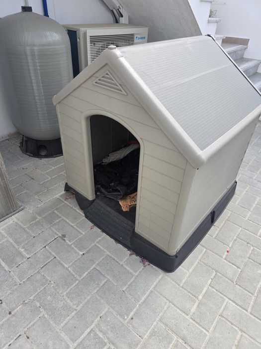 Casas para cães cimento e fibra