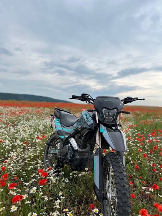 Шенерей 250 6с.