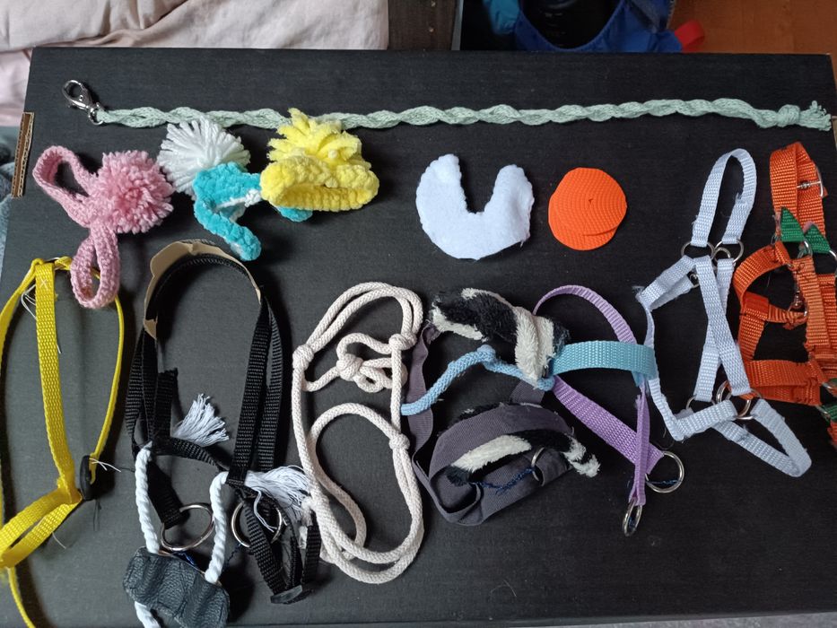 PILNE! Sprzęt dla hobby horse