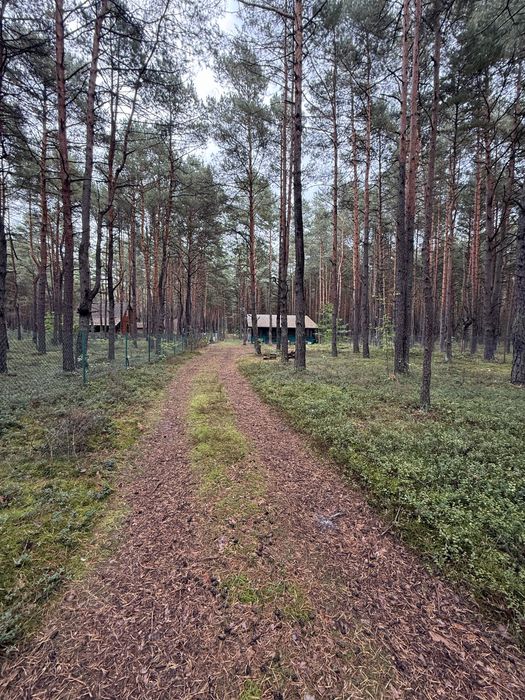 Sprzedam domek z dzialka 3600 m² Poraj - Widok 2