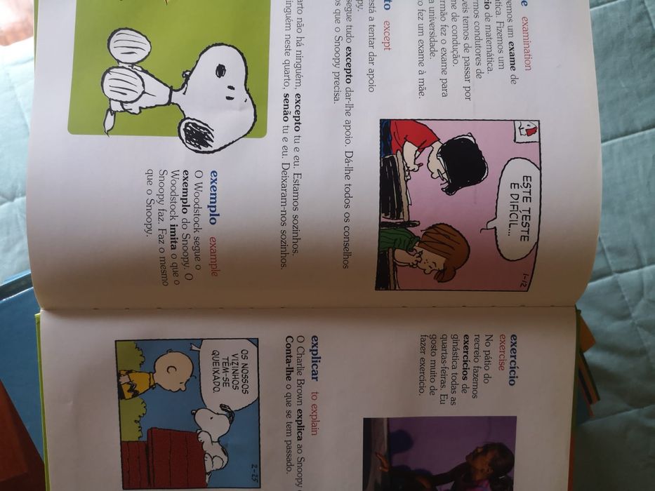 Livros "O Dicionário do Charlie Brown" (Volumes Avulsos)