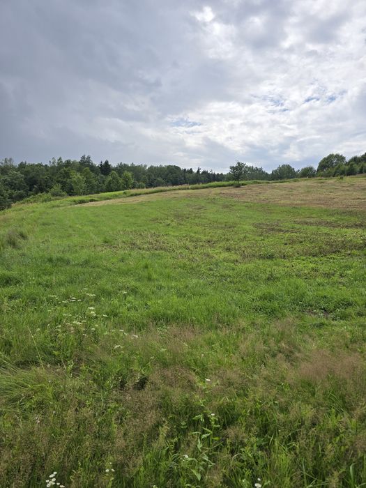 Działki widokowe z warunkami zabudowy Orzechówka - Widok 2