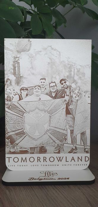 Tomorrowland Palcos e fotogravação