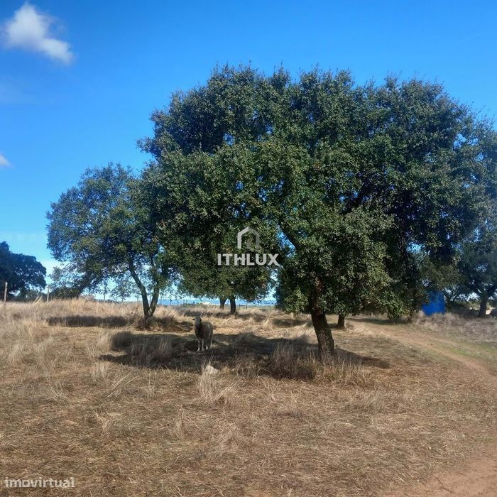Terreno rústico com aproximadamente 70.000 m2  (7 hectares) para venda