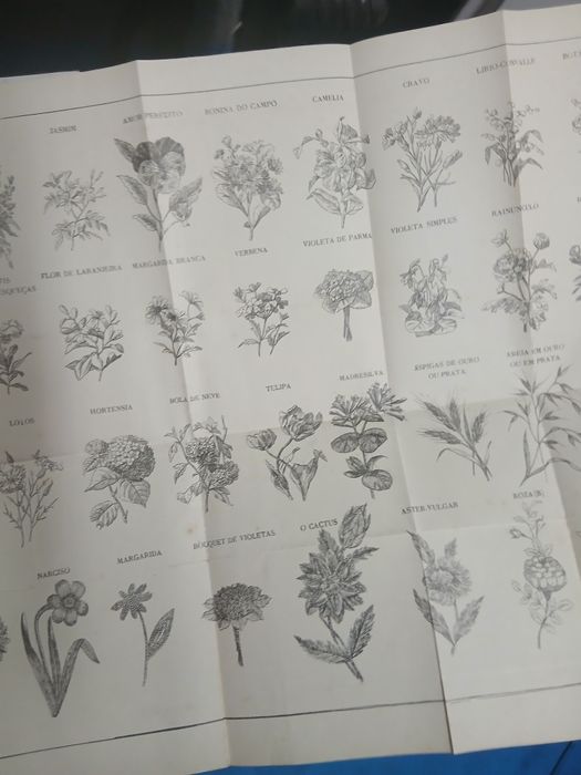 Beatriz Nazareth, Manual da Florista Para Fazer Flores Artificiaes