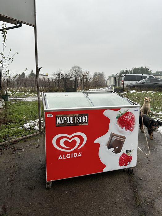 Zamrażarka skrzyniowa Ugur UDD 300 SCEB - ALGIDA - 238L - Sprawna