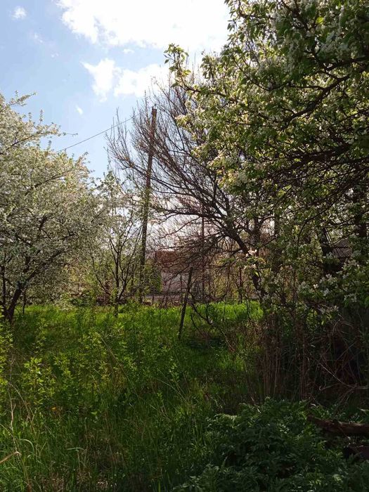 Дачна ділянка у кооперативі "Будівельник"