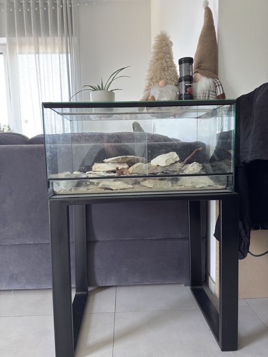 Terrarium z stolikiem